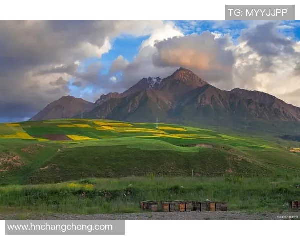 盐城湖与科罗拉多的壮丽风光与自然生态的深度对比分析 盐城湖与科罗拉多的壮丽风光与自然生态的深度对比分析