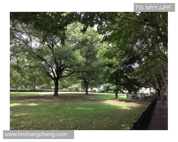 黄磊亲自分享网球技巧与心得体会助你提升球技的秘诀MBA