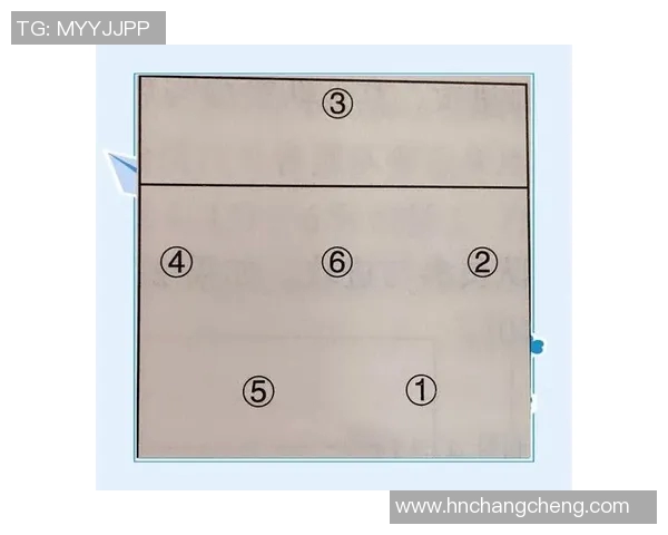 从零基础到高手之路:全面掌握排球速度技巧与训练方法 从零基础到高手之路:全面掌握排球速度技巧与训练方法
