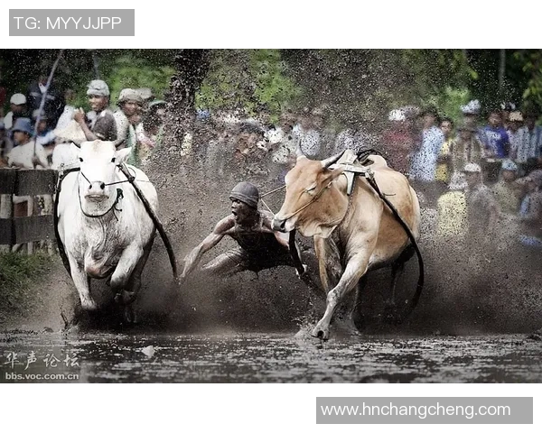 印尼军队与塞曼巴东的较量揭示东南亚安全局势新动态