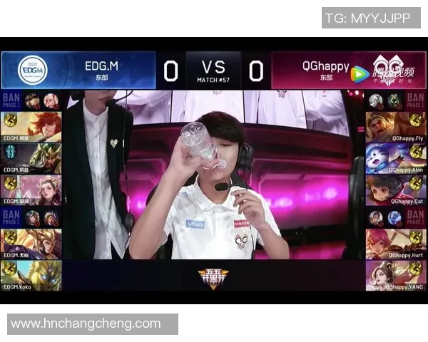 深入探讨EDG战队在比赛中的耐力表现与数据分析结果 深入探讨EDG战队在比赛中的耐力表现与数据分析结果