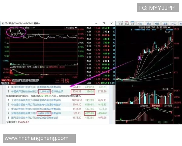武汉排球队与西安排球队的赛后复盘与节奏分析