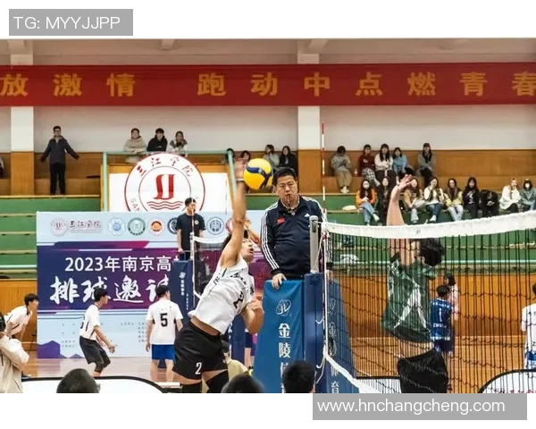 排球巨献：深入解析南京排球队员的个人能力与团队协作之道